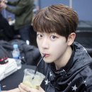 골든 스테이지 이미지