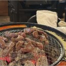 신마포갈매기 이미지