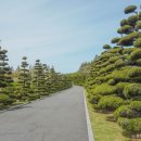 신선로 447번길 이미지