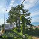 북창선초등학교 | [경남남해여행] 남해버드하우스캠핑장 후박8번 후기