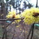 가다오다 이미지