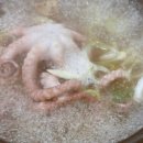 착한낙지홍도점 이미지