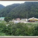 배일치 농장 이미지