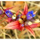 사랑합니다-희망 이미지