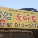 아영농장 네이버블로그