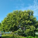 (주)자연농 이미지