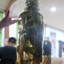 #풍성한 잼나영주 후기