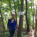화암리우수고개세천 | 금북정맥 11구간 홍성 금자봉(金子峰 538) 210731
