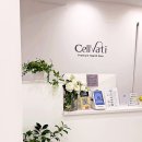 (주)안세헬스케어그룹 | [서울/교대] 셀바티 헬스케어 필라테스 교대본점 - AI...교대역필라테스 반포필라테스 3:1 그룹수업 추천