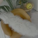 두루몽실 이미지