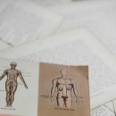 오대한의원 이미지