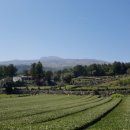 서귀어린이집 이미지