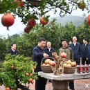 주석농장 이미지