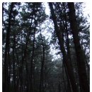 다대초교 입구 이미지