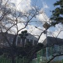 목포혜인여자고등학교 이미지