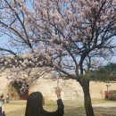 연희김밥 이미지