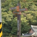 모박곡 Daum카페