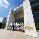 LG 25 사직보라점 | 사직 실내수영장 주말 자유수영 후기 (50m 레인, 주차, 이용 꿀팁 총정리)