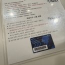 (주)엘로이즈 | 일본 도쿄 미츠코시 긴자 백화점 셀린느 엘로이즈백 구매 후기