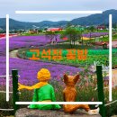 축제투어 이미지