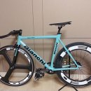 퍼피스타 이미지