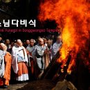 [불교인식론 및 탈우상화 선문 백서] "내 사리를 찾지 마라": 법정(法頂)과 전강(田岡)·춘성(春城) 선사가 던진 사자후, 성철·숭산 이미지