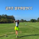원스크린골프 | 골프존 신규코스 블루원용인CC 스크린골프 후기