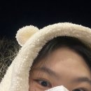 이젠 보내 줄게 걸어봐 위엄 like a lion
