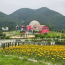 상영목장 이미지