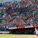 롯데그릇 이미지