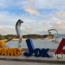 고성공룡박물관야영장 이미지