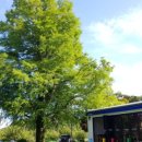 아라솔 펜션 이미지