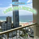 골드오션 | 호주 노보텔 서퍼스 파라다이스 ep1_오션뷰 더블 후기 (골드코스트 숙소 추천)