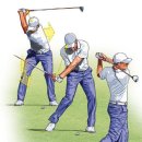 골프 다운스윙 오른팔 왼팔 의 사용방법 이미지