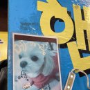 선명한공인중개사사무소 이미지