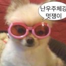 피플족발 | 게더링하우스 후기 솔로파티