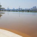 한강공원 잠실수영장 이미지