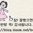 김밥신랑만두각시 - 안양시 동안구 | 김밥신랑만두각시