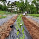 대정요양병원 이미지