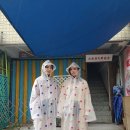 별콩 이미지