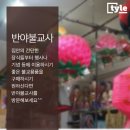 반야불교사 네이버블로그