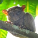 제주보홀 이미지