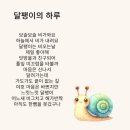 달팽이의하루