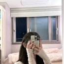 핑크모모(PINK MOMO)