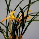 솔기아파트 이미지