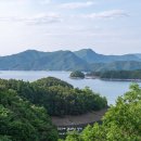 게으른 악어 이미지