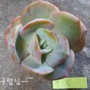 백봉한의원 이미지