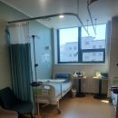 하누동물병원 | 편도제거수술 (솔직후기)