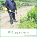 효자농장 | 무선 충전 예초기 추천 효자 하나면 예초작업 끝