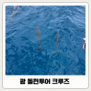 소망낚시，슈퍼 | 괌 돌핀투어 크루즈 추천 내돈내산 아기랑 부모님이랑